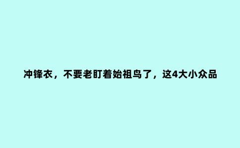 冲锋衣，不要老盯着始祖鸟了，这4大小众品牌，实用性强个性十足