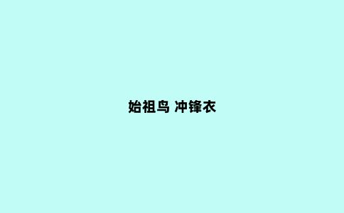 始祖鸟 冲锋衣