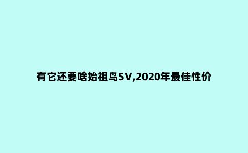 有它还要啥始祖鸟SV,2020年***佳性价比冲锋衣赏析